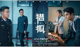 追逃电视剧,跨境追逃，正义终将抵达