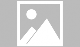 热情仲夏电视剧全集