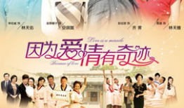 因为爱情有奇迹电视剧,浪漫邂逅，谱写幸福传奇